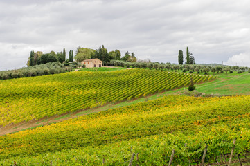 Colline del Chianti 1