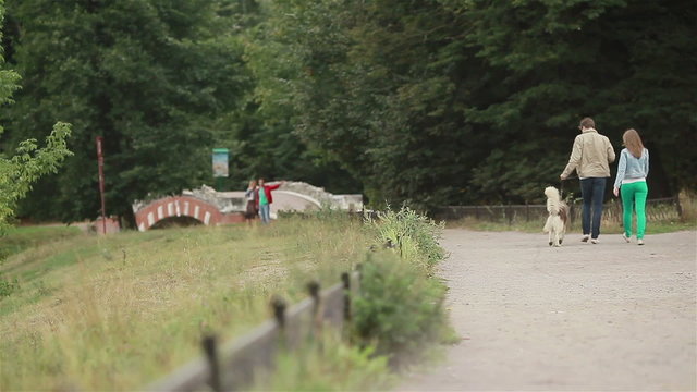 Young couple walking in park with dog huski