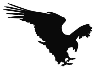 Naklejka premium Vector eagle hunting