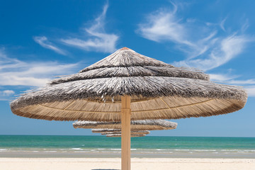 Umbrellas on the beach