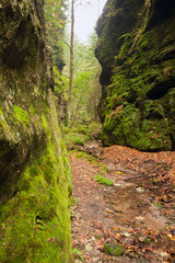 Herbst in der Sächsischen Schweiz