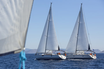 Group of sail yachts in regatta near a coast.