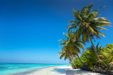 Naklejka na ściany i meble Perfect tropical island paradise beach