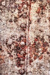 Old Rusty Riveted Metal Floater Surface Grunge Texture