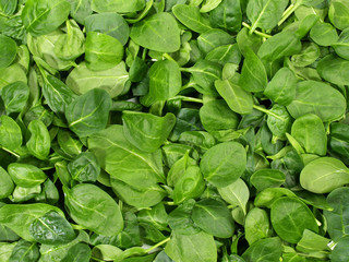 Fototapeta na wymiar Spinat - Gemüse Hintergrund