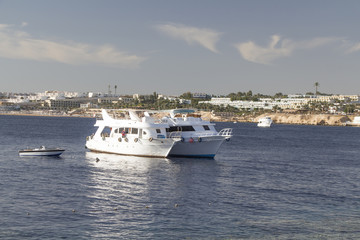 Fototapeta na wymiar Dive boats is waiting for clients