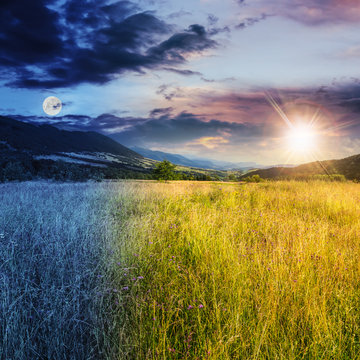 meadow with high grass in mountains