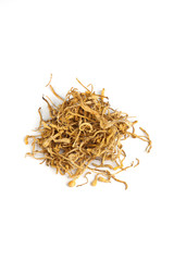 cordyceps