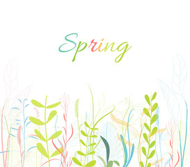spring florals flower background