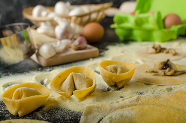Making pasta from italian flour semolina