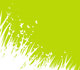 Green spring background