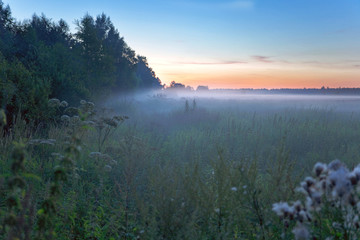 Foggy sunset in summer field