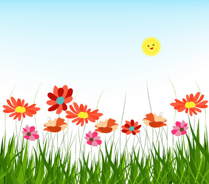 spring with grass and blue sky background
