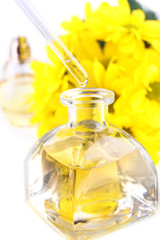 Dropper bottle of perfume with yellow chamomile