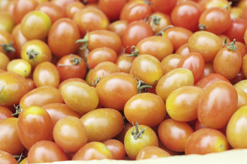 Red tomatoes