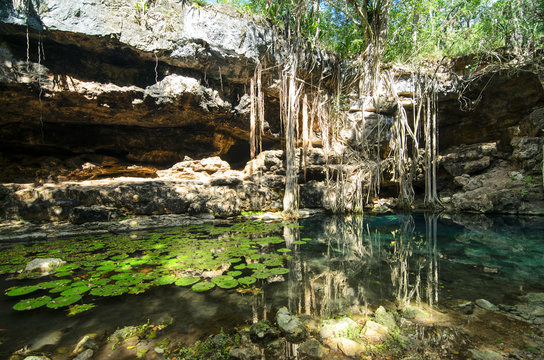 X-Batun Cenote - turquoise fresh water with water lilies and roc