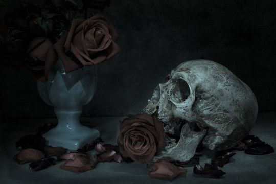 Still life human skull