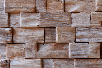 Wood texture, Ecological background