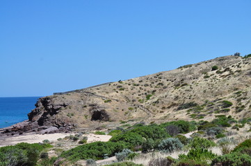 Fototapeta na wymiar Grassy hill, landscape. Hallett Cove, Australia.