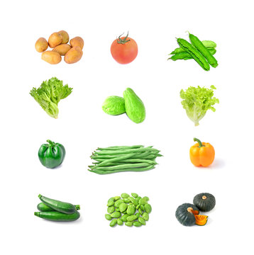 Pictures of various kinds of vegetables with white background