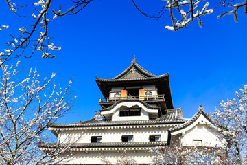 Inuyama Castle
