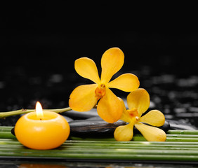 Fototapeta na wymiar spa concept-candle with yellow orchid on long plant