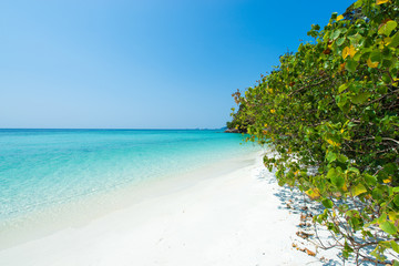Tropical white sand beach paradise Thailand