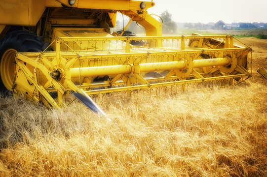 Combine harvester working at wheat field