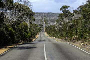 empty and straight road in Australia