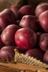 Organic Raw Red Potatoes