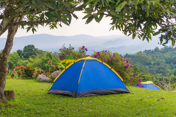 Camping tent in campground at national park.