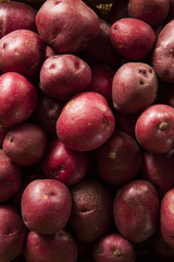 Organic Raw Red Potatoes