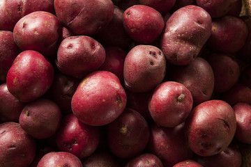 Organic Raw Red Potatoes