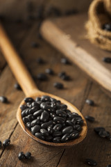 Organic Raw Dry Black Beans