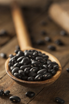 Organic Raw Dry Black Beans