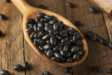 Organic Raw Dry Black Beans