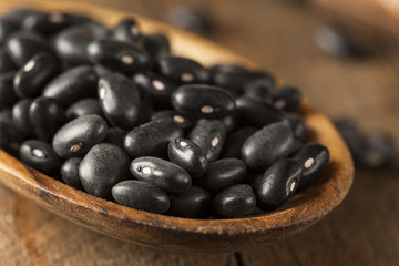 Organic Raw Dry Black Beans