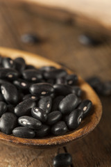 Organic Raw Dry Black Beans