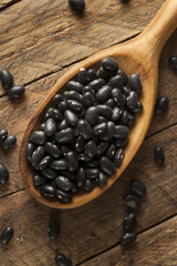 Organic Raw Dry Black Beans