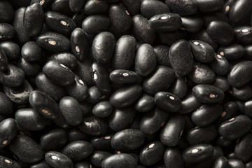 Organic Raw Dry Black Beans
