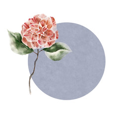 Background with camelia flowers. Watercolor illustration