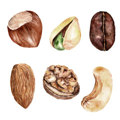 Set with nuts, healthy food. Watercolor illustration