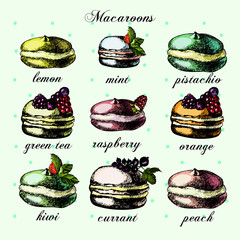 illustrations with colorful macarons,