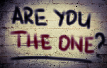 Are You The One Concept