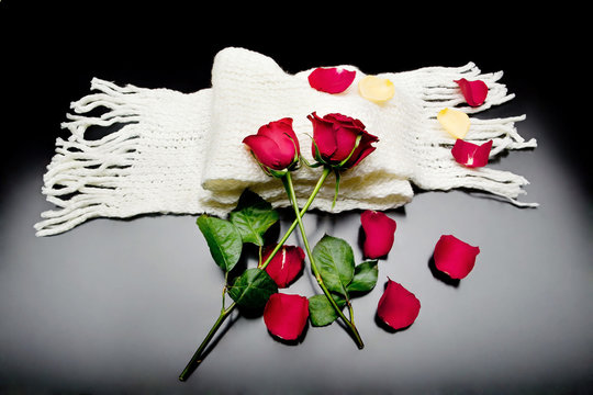 Dos rosas rojas unidas en un fondo negro con bufanda Poes&iacute;a