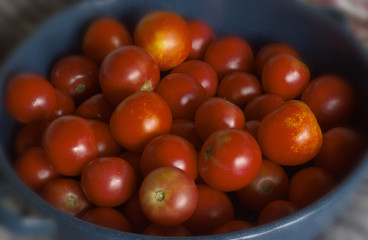 Many red tomatoes