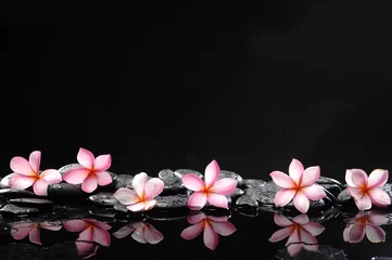 Schilderijen op glas spa concept-six frangipani and wet stones © Mee Ting