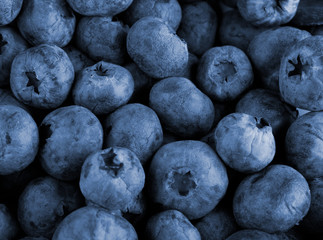 Bilberry berries close up as a background for design