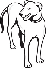 Dog Standing Front Cartoon