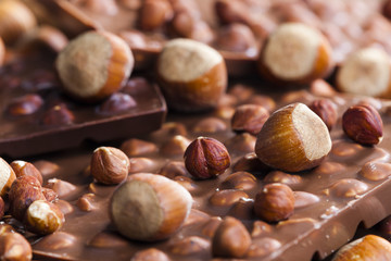 chocolate bars with hazelnuts